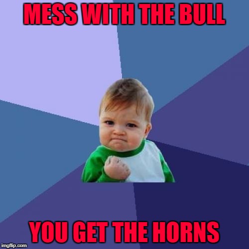 Success Kid Meme | MESS WITH THE BULL YOU GET THE HORNS | image tagged in memes,success kid | made w/ Imgflip meme maker