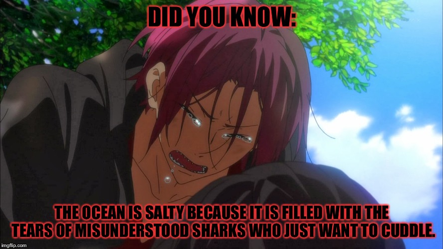 "Ay yo homeboi look like shark week.I ain't messin with that!" | DID YOU KNOW:; THE OCEAN IS SALTY BECAUSE IT IS FILLED WITH THE TEARS OF MISUNDERSTOOD SHARKS WHO JUST WANT TO CUDDLE. | image tagged in repost,matsuoka rin,rin matsuoka,free iwatobi swim club,iwatobi | made w/ Imgflip meme maker