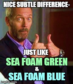 NICE SUBTLE DIFFERENCE- JUST LIKE & SEA FOAM GREEN SEA FOAM BLUE | made w/ Imgflip meme maker