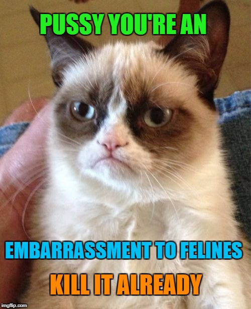 Grumpy Cat Meme | PUSSY YOU'RE AN EMBARRASSMENT TO FELINES KILL IT ALREADY | image tagged in memes,grumpy cat | made w/ Imgflip meme maker
