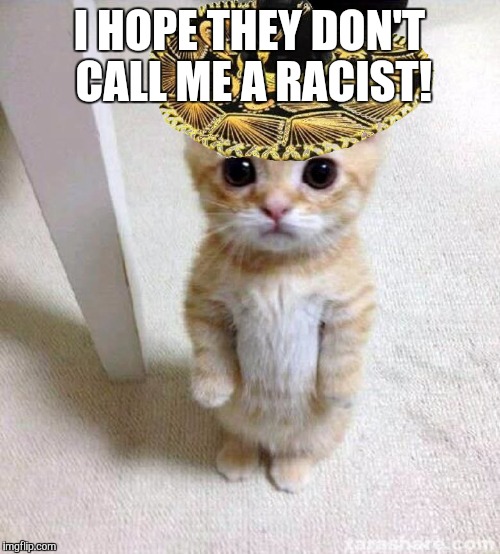 cute cat in hat | I HOPE THEY DON'T CALL ME A RACIST! | image tagged in cute cat in hat | made w/ Imgflip meme maker