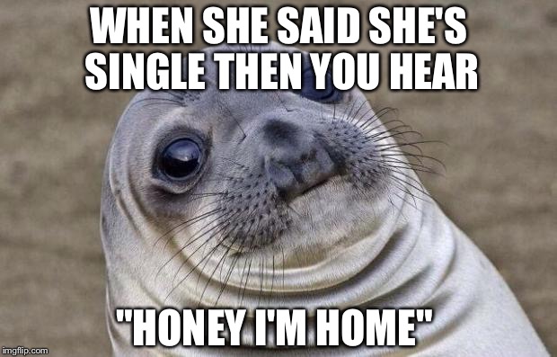 Awkward Moment Sealion | WHEN SHE SAID SHE'S SINGLE THEN YOU HEAR; "HONEY I'M HOME" | image tagged in memes,awkward moment sealion | made w/ Imgflip meme maker