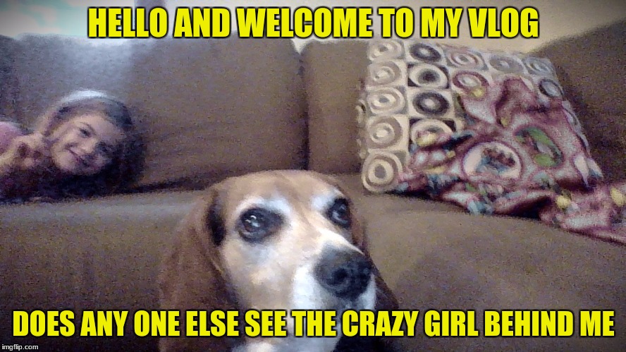 HELLO AND WELCOME TO MY VLOG; DOES ANY ONE ELSE SEE THE CRAZY GIRL BEHIND ME | image tagged in funny memes | made w/ Imgflip meme maker