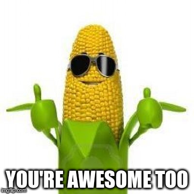 YOU'RE AWESOME TOO | made w/ Imgflip meme maker