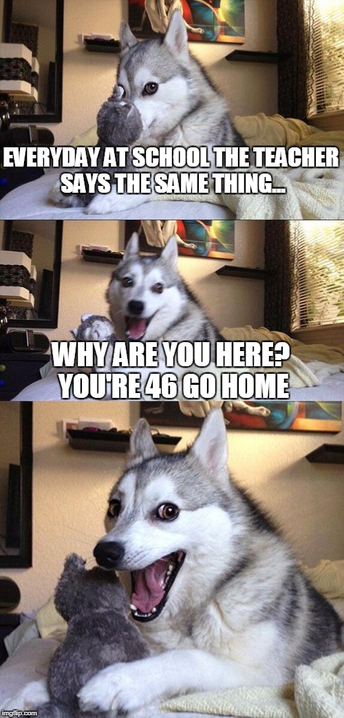 Bad Pun Dog Meme | EVERYDAY AT SCHOOL THE TEACHER SAYS THE SAME THING... WHY ARE YOU HERE? YOU'RE 46 GO HOME | image tagged in memes,bad pun dog | made w/ Imgflip meme maker