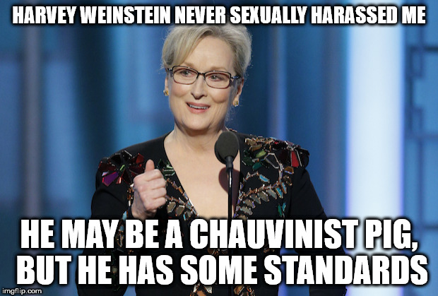 meryl streep | HARVEY WEINSTEIN NEVER SEXUALLY HARASSED ME; HE MAY BE A CHAUVINIST PIG, BUT HE HAS SOME STANDARDS | image tagged in meryl streep | made w/ Imgflip meme maker
