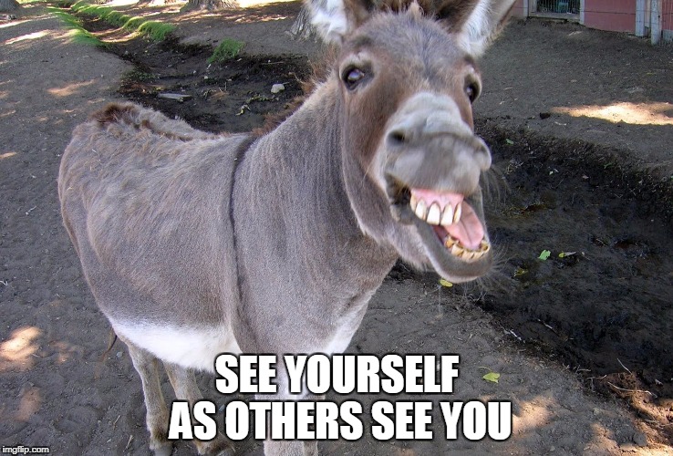 SEE YOURSELF AS OTHERS SEE YOU | image tagged in jackass | made w/ Imgflip meme maker