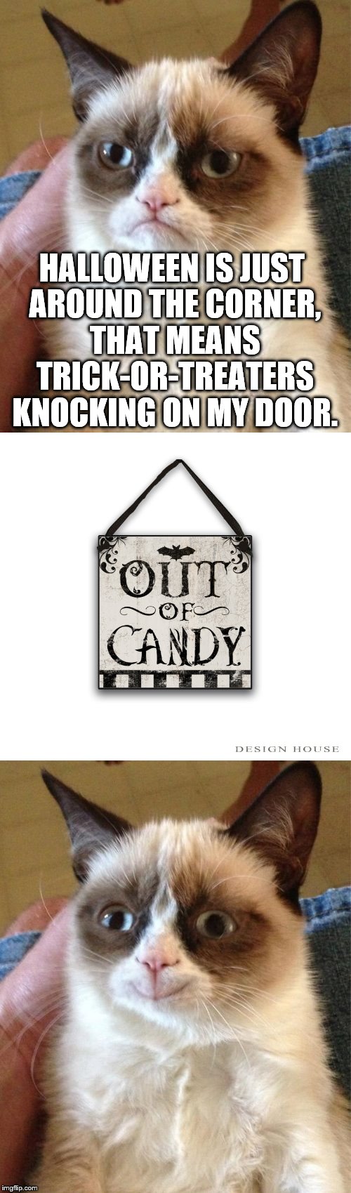 Grumpy cat at Halloween | HALLOWEEN IS JUST AROUND THE CORNER, THAT MEANS TRICK-OR-TREATERS KNOCKING ON MY DOOR. | image tagged in grumpy cat,sign,grumpy cat happy | made w/ Imgflip meme maker