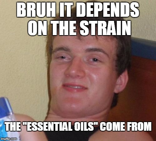 10 Guy Meme | BRUH IT DEPENDS ON THE STRAIN THE "ESSENTIAL OILS" COME FROM | image tagged in memes,10 guy | made w/ Imgflip meme maker