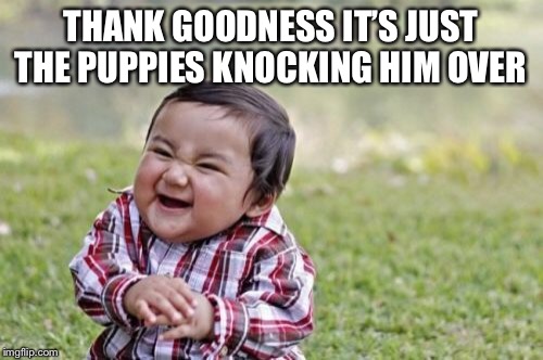 Evil Toddler Meme | THANK GOODNESS IT’S JUST THE PUPPIES KNOCKING HIM OVER | image tagged in memes,evil toddler | made w/ Imgflip meme maker