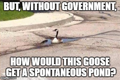 Credit to Libertarian Party of Indiana. | BUT, WITHOUT GOVERNMENT, HOW WOULD THIS GOOSE GET A SPONTANEOUS POND? | image tagged in libertarian,muh roads,big government,liberal,statism | made w/ Imgflip meme maker