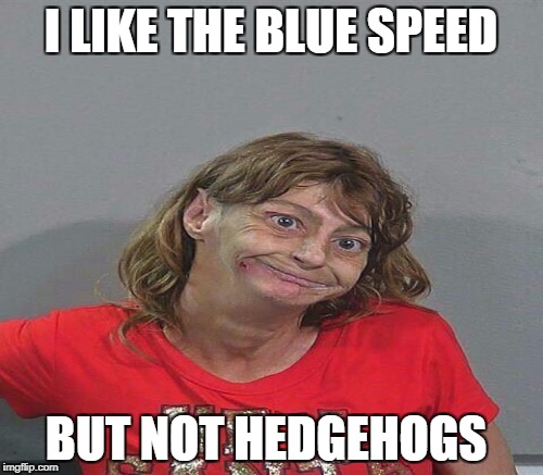 I LIKE THE BLUE SPEED BUT NOT HEDGEHOGS | made w/ Imgflip meme maker