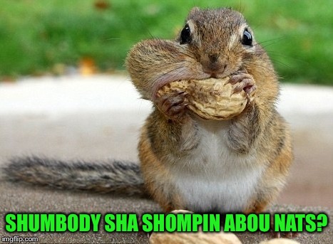 Someone say something about nuts? | SHUMBODY SHA SHOMPIN ABOU NATS? | image tagged in cute,chipmunk,nuts,funny memes | made w/ Imgflip meme maker