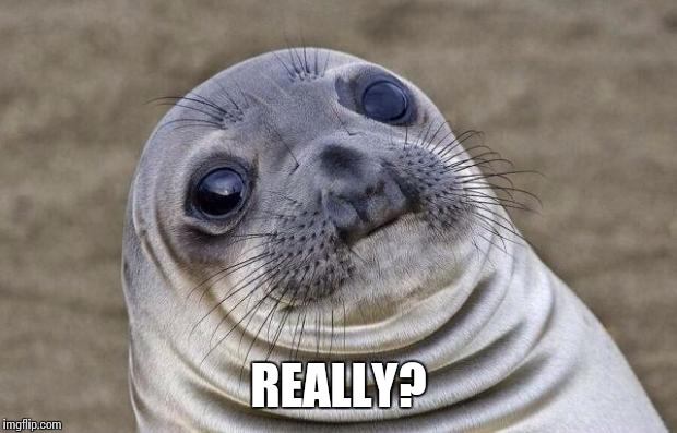 Awkward Moment Sealion | REALLY? | image tagged in memes,awkward moment sealion | made w/ Imgflip meme maker