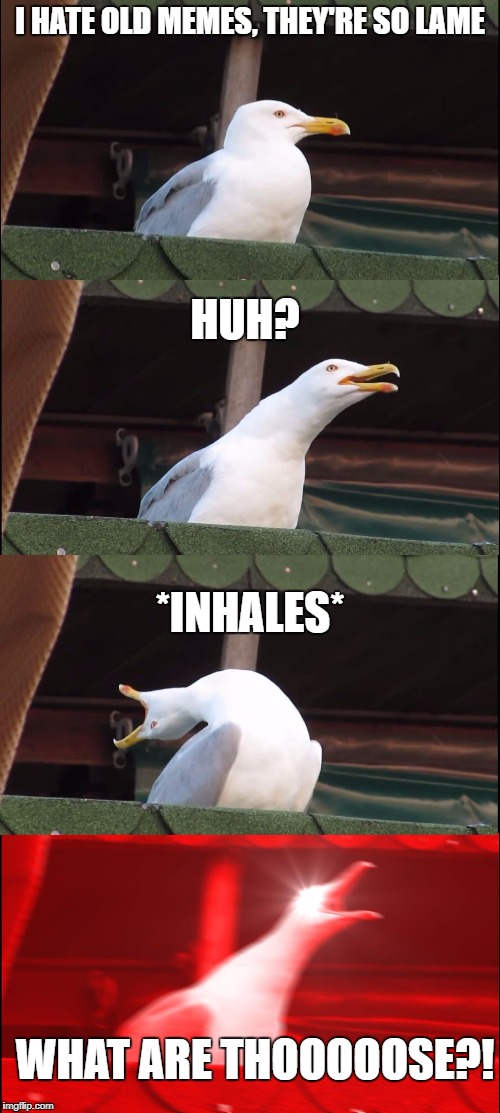 When seagull saw a pair of shows hanging from the power lines | I HATE OLD MEMES, THEY'RE SO LAME; HUH? *INHALES*; WHAT ARE THOOOOOSE?! | image tagged in inhaling seagull,memes,what are those,dank memes,old jokes,funny | made w/ Imgflip meme maker