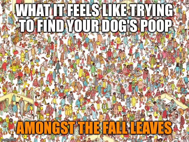Waldo | WHAT IT FEELS LIKE TRYING TO FIND YOUR DOG'S POOP; AMONGST THE FALL LEAVES | image tagged in waldo | made w/ Imgflip meme maker