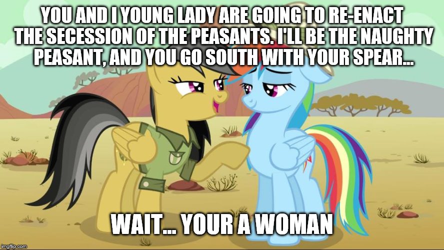 YOU AND I YOUNG LADY ARE GOING TO RE-ENACT THE SECESSION OF THE PEASANTS. I'LL BE THE NAUGHTY PEASANT, AND YOU GO SOUTH WITH YOUR SPEAR... WAIT... YOUR A WOMAN | image tagged in rainbow dash and daring do | made w/ Imgflip meme maker