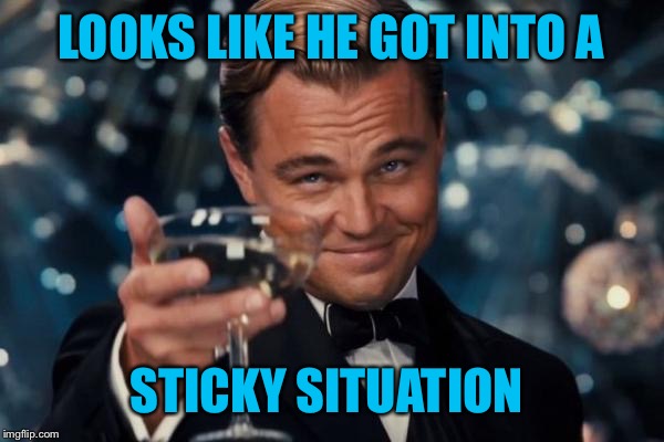 Leonardo Dicaprio Cheers Meme | LOOKS LIKE HE GOT INTO A STICKY SITUATION | image tagged in memes,leonardo dicaprio cheers | made w/ Imgflip meme maker