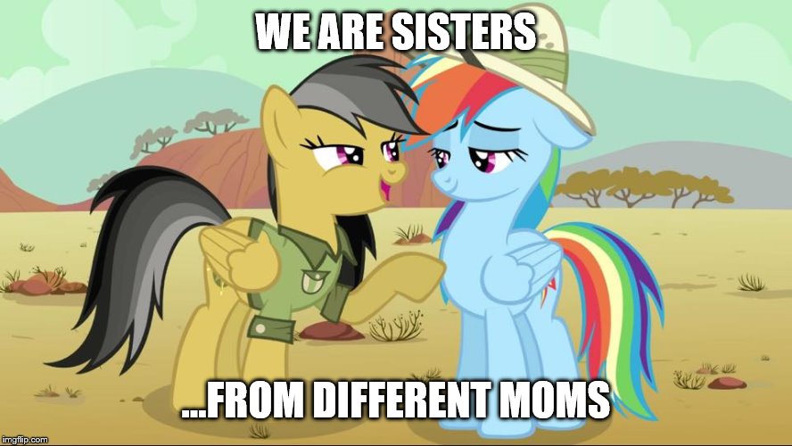 WE ARE SISTERS; ...FROM DIFFERENT MOMS | image tagged in rainbow dash and daring do | made w/ Imgflip meme maker