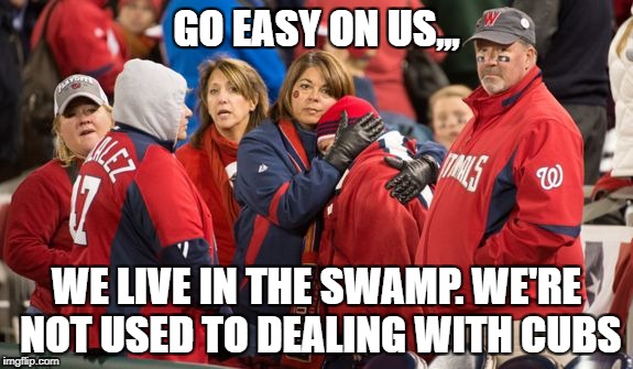 Cub's win. | GO EASY ON US,,, WE LIVE IN THE SWAMP. WE'RE NOT USED TO DEALING WITH CUBS | image tagged in chicago cubs,major league baseball,washington capitals | made w/ Imgflip meme maker