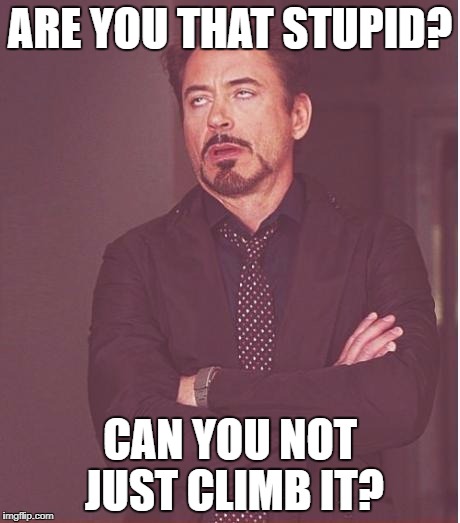 Face You Make Robert Downey Jr Meme | ARE YOU THAT STUPID? CAN YOU NOT JUST CLIMB IT? | image tagged in memes,face you make robert downey jr | made w/ Imgflip meme maker