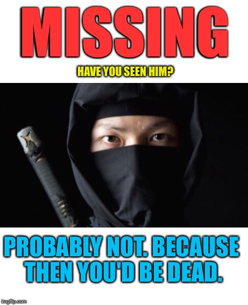 One Of My Many Nicknames |  MISSING; HAVE YOU SEEN HIM? PROBABLY NOT. BECAUSE THEN YOU'D BE DEAD. | image tagged in ninja,ninjas,missing,poster,silent,killer | made w/ Imgflip meme maker