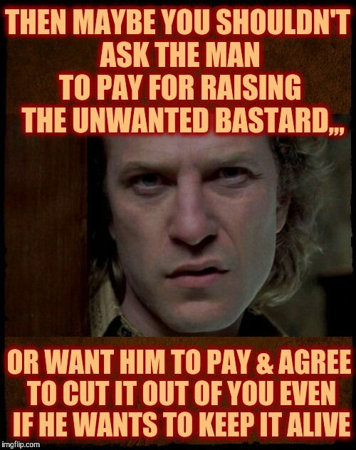 Buffalo Bill, Are you serious?,,, | THEN MAYBE YOU SHOULDN'T  ASK THE MAN   TO PAY FOR RAISING   THE UNWANTED BASTARD,,, OR WANT HIM TO PAY & AGREE TO CUT IT OUT OF YOU EVEN IF | image tagged in buffalo bill are you serious?   | made w/ Imgflip meme maker