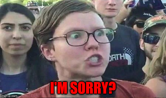 I'M SORRY? | made w/ Imgflip meme maker