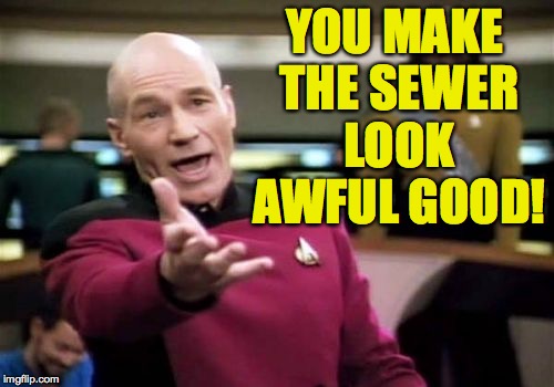 Picard Wtf Meme | YOU MAKE THE SEWER LOOK AWFUL GOOD! | image tagged in memes,picard wtf | made w/ Imgflip meme maker