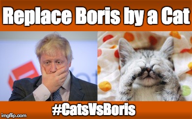 CatsVsBoris | Replace Boris by a Cat; #CatsVsBoris | image tagged in catsvsboris,cats,boris johnson,boris,grumpy cat,brexit | made w/ Imgflip meme maker