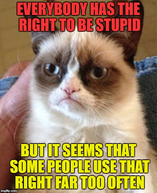 Grumpy Cat Meme | EVERYBODY HAS THE RIGHT TO BE STUPID; BUT IT SEEMS THAT SOME PEOPLE USE THAT RIGHT FAR TOO OFTEN | image tagged in memes,grumpy cat,animals,cats,funny | made w/ Imgflip meme maker