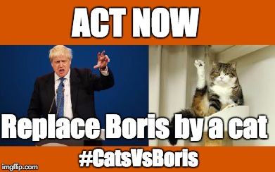 Cats Vs Boris 2 | ACT NOW; Replace Boris by a cat; #CatsVsBoris | image tagged in catsvsboris,boris,boris johnson,brexit,cats,political meme | made w/ Imgflip meme maker