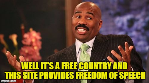 Steve Harvey Meme | WELL IT'S A FREE COUNTRY AND THIS SITE PROVIDES FREEDOM OF SPEECH | image tagged in memes,steve harvey | made w/ Imgflip meme maker