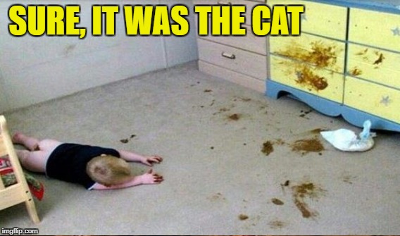 SURE, IT WAS THE CAT | made w/ Imgflip meme maker