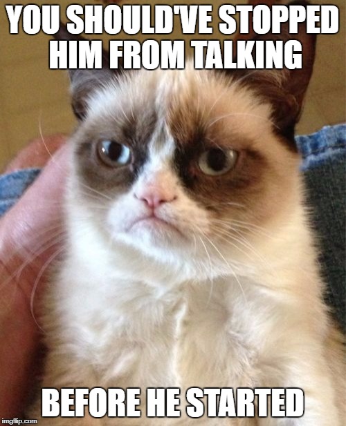 Grumpy Cat Meme | YOU SHOULD'VE STOPPED HIM FROM TALKING BEFORE HE STARTED | image tagged in memes,grumpy cat | made w/ Imgflip meme maker