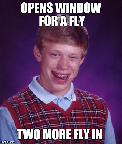 Bad Luck Brian Meme | OPENS WINDOW FOR A FLY TWO MORE FLY IN | image tagged in memes,bad luck brian | made w/ Imgflip meme maker