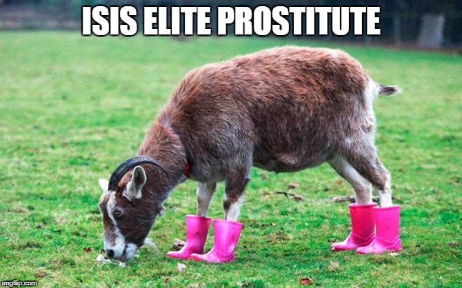 Isis elite prostitute | ISIS ELITE PROSTITUTE | image tagged in goat in pink boots,prostitute | made w/ Imgflip meme maker