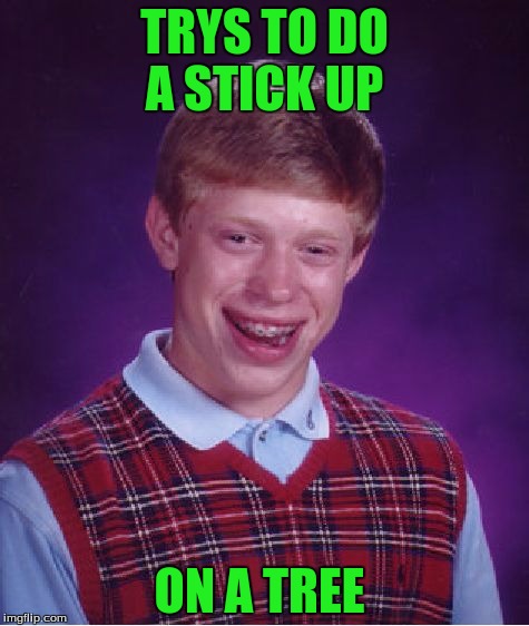 Bad Luck Brian Meme | TRYS TO DO A STICK UP; ON A TREE | image tagged in memes,bad luck brian | made w/ Imgflip meme maker