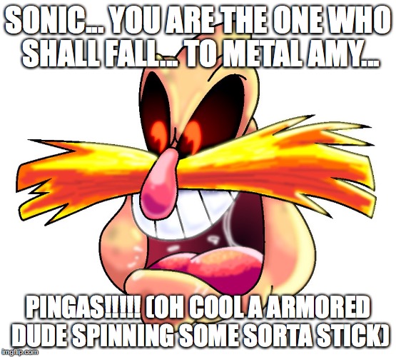 Pingas | SONIC... YOU ARE THE ONE WHO SHALL FALL... TO METAL AMY... PINGAS!!!!! (OH COOL A ARMORED DUDE SPINNING SOME SORTA STICK) | image tagged in pingas | made w/ Imgflip meme maker