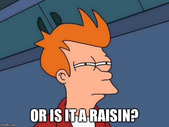 Futurama Fry Meme | OR IS IT A RAISIN? | image tagged in memes,futurama fry | made w/ Imgflip meme maker
