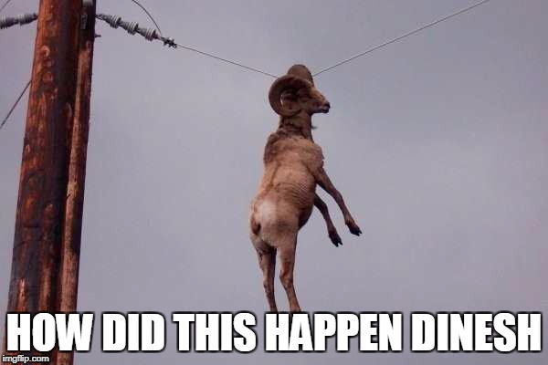 HOW DID THIS HAPPEN DINESH | made w/ Imgflip meme maker