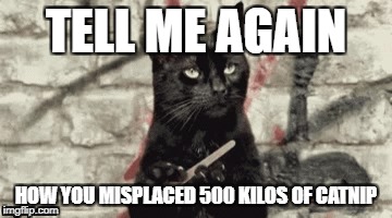 Scarkitty - Say hello to my little hands | TELL ME AGAIN; HOW YOU MISPLACED 500 KILOS OF CATNIP | image tagged in cats,scarface | made w/ Imgflip meme maker