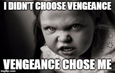 I DIDN'T CHOOSE VENGEANCE; VENGEANCE CHOSE ME | image tagged in alice malice | made w/ Imgflip meme maker
