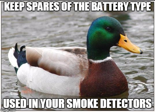Actual Advice Mallard Meme | KEEP SPARES OF THE BATTERY TYPE; USED IN YOUR SMOKE DETECTORS | image tagged in memes,actual advice mallard | made w/ Imgflip meme maker