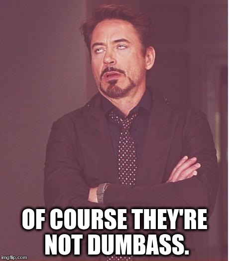 Face You Make Robert Downey Jr Meme | OF COURSE THEY'RE NOT DUMBASS. | image tagged in memes,face you make robert downey jr | made w/ Imgflip meme maker