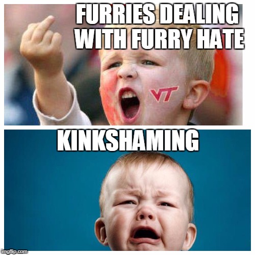 FURRIES DEALING WITH FURRY HATE; KINKSHAMING | image tagged in furries | made w/ Imgflip meme maker