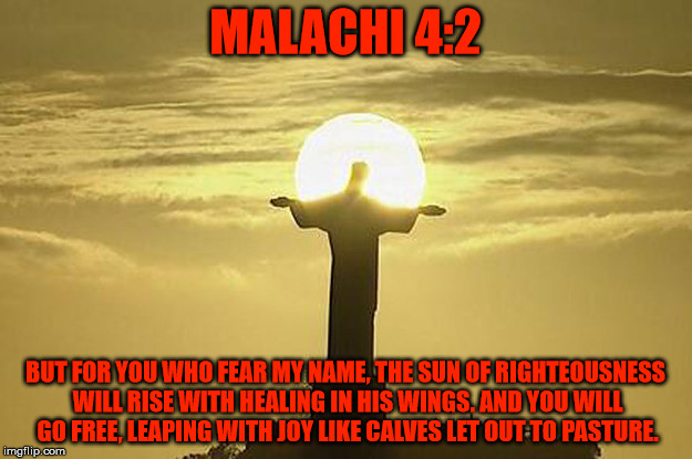 MALACHI 4:2; BUT FOR YOU WHO FEAR MY NAME, THE SUN OF RIGHTEOUSNESS WILL RISE WITH HEALING IN HIS WINGS. AND YOU WILL GO FREE, LEAPING WITH JOY LIKE CALVES LET OUT TO PASTURE. | made w/ Imgflip meme maker