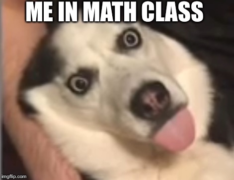 ME IN MATH CLASS | image tagged in we broke it | made w/ Imgflip meme maker
