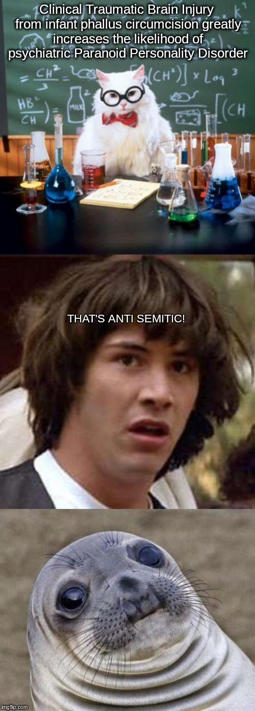 Clinical Traumatic Brain Injury from infant phallus circumcision greatly increases the likelihood of psychiatric Paranoid Personality Disorder; THAT'S ANTI SEMITIC! | image tagged in anti-sealion | made w/ Imgflip meme maker