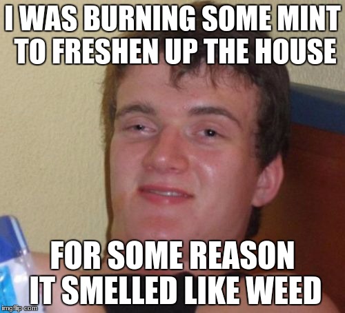 10 Guy Meme | I WAS BURNING SOME MINT TO FRESHEN UP THE HOUSE; FOR SOME REASON IT SMELLED LIKE WEED | image tagged in memes,10 guy | made w/ Imgflip meme maker